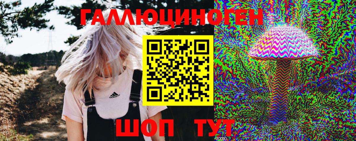 Псилоцибиновые грибы Psilocybe  Вход с VPN  где продают наркотики  Галлюциногенные грибы Psilocybine cubensis  Корсаков 